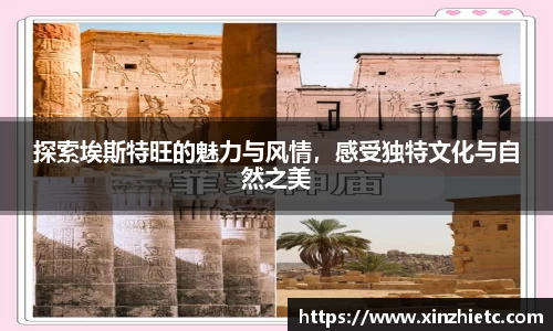 WE真人视讯官网