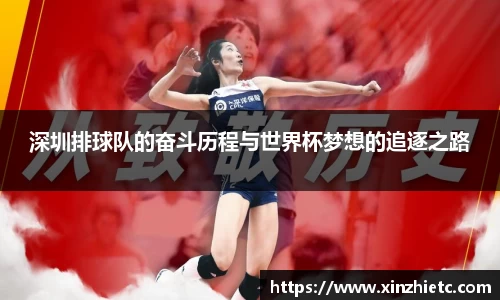 深圳排球队的奋斗历程与世界杯梦想的追逐之路