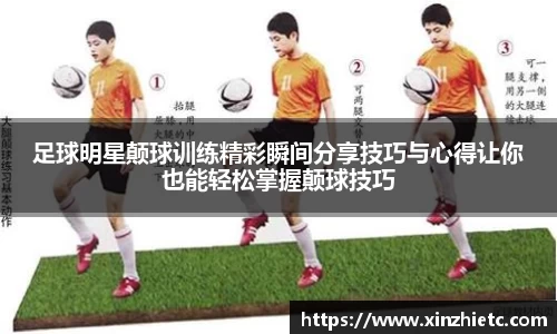 WE真人视讯官网